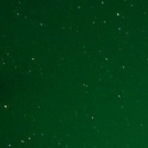 Emerald Shine’s avatar