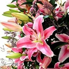 Toko Bunga Lilly