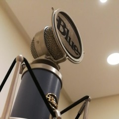 Preverse Studio BH