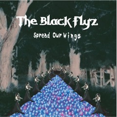 The Black Flyz
