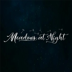 Meadows at Night