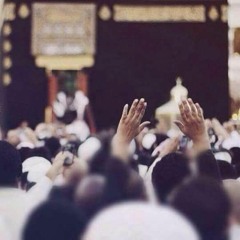 منار أحمد ~