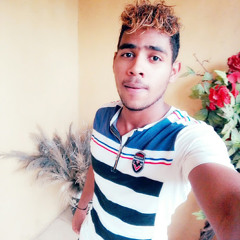 zamir