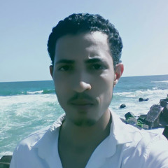 Mohamad Samy