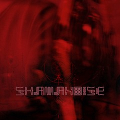 shamanoise