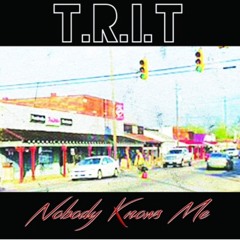 T.R.I.T