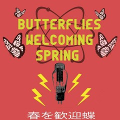 Butterflies welcoming spring