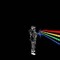 the black rainbow