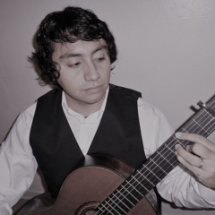Miguel Arvizu Guitar
