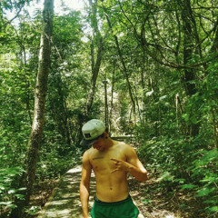 Tiago Silva