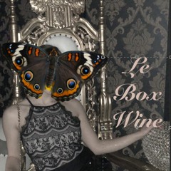 Le boxed Wine