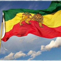 Spenny at the Controls