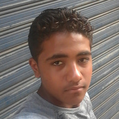 سلامة سعيد