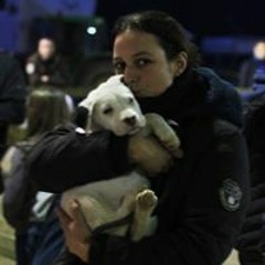 Mimine