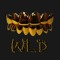 WLDNOIZE