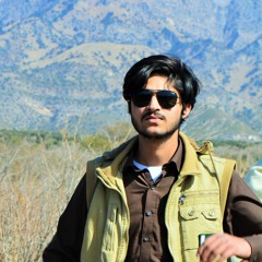 Syed Komail Gillani