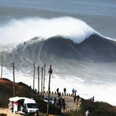 Dela Wave Suis