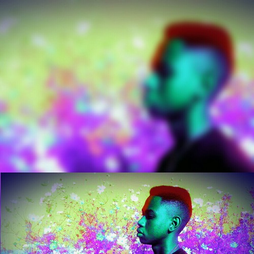 PurposePassion&Visions