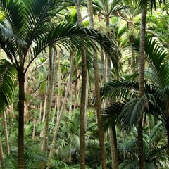 House of Grooves Radio