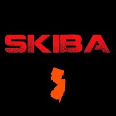 ⚡️Skiba