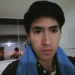 Ayala Hinostroza Henry