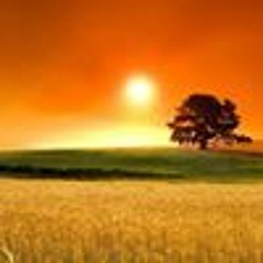 yasinmohamed473