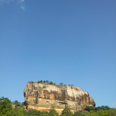 Sugar, Spice, and Biryani Rice