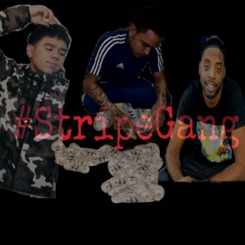 Stripe Gang’s avatar