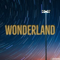ROB WONDER