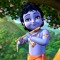 Google Krsna