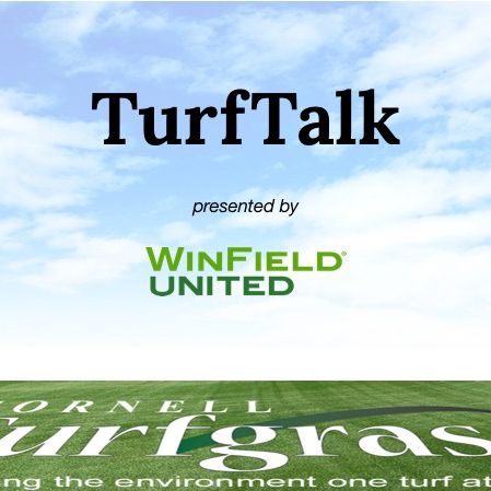 Turf Talk presented by Winfield United podcast artwork