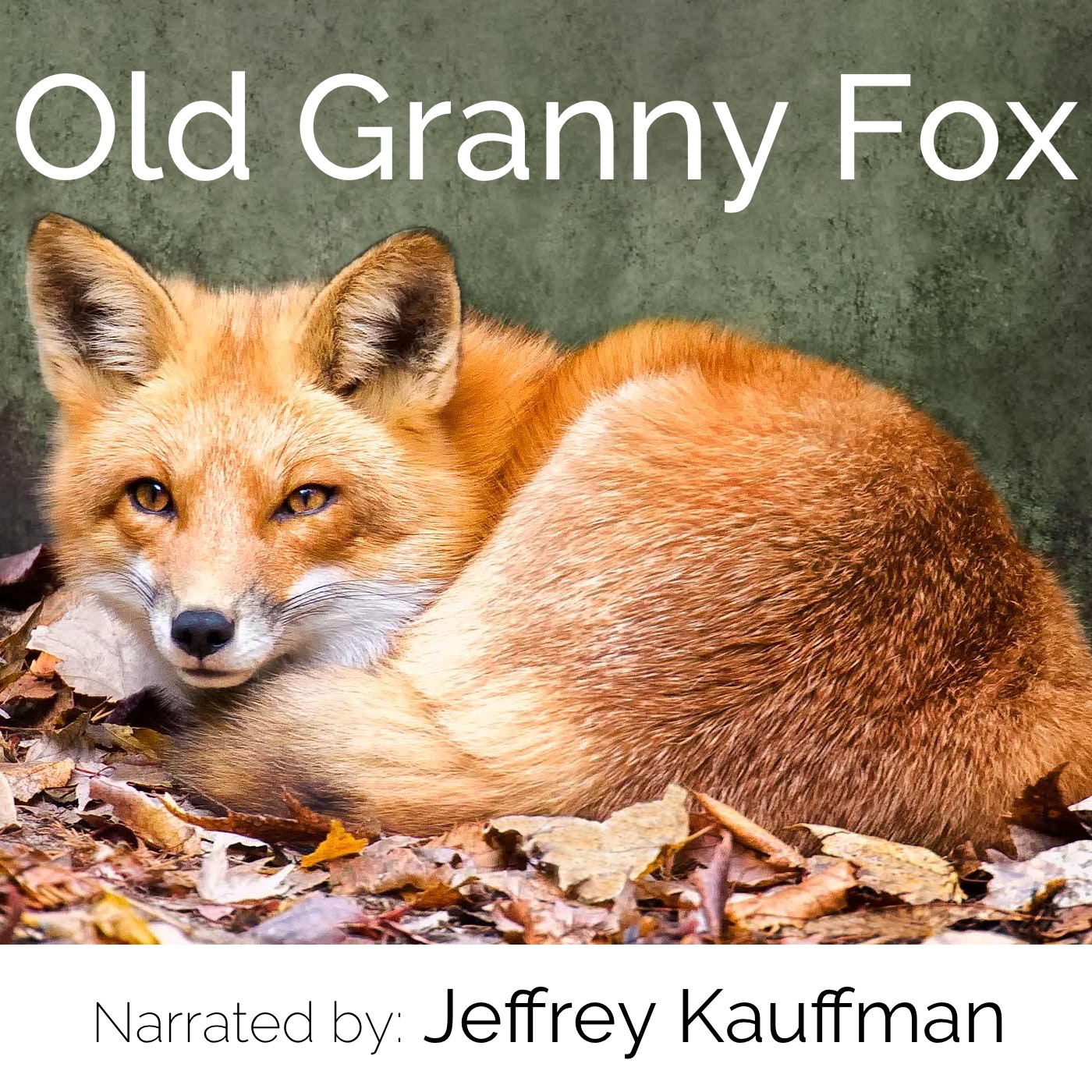 Granny Fox Chapters 6 - 10