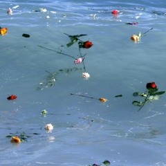 slidetothesea