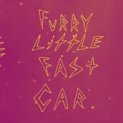 Furry Little Fast Car