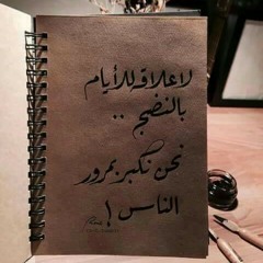 Mohamed Nady