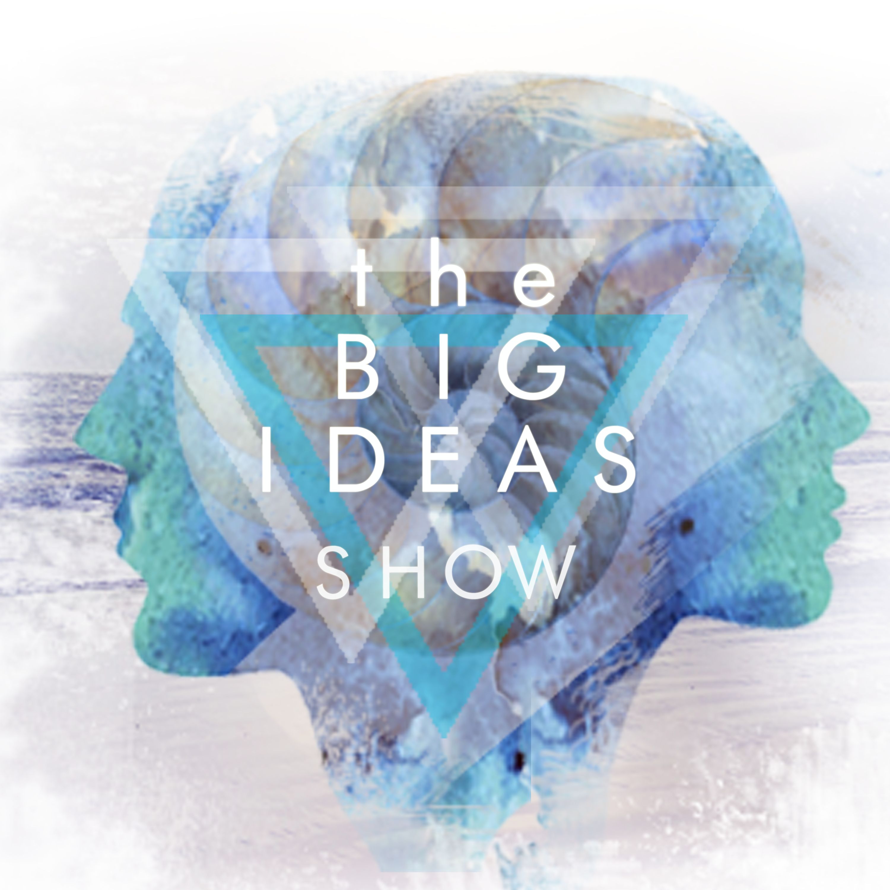 The BIG IDEAS Show