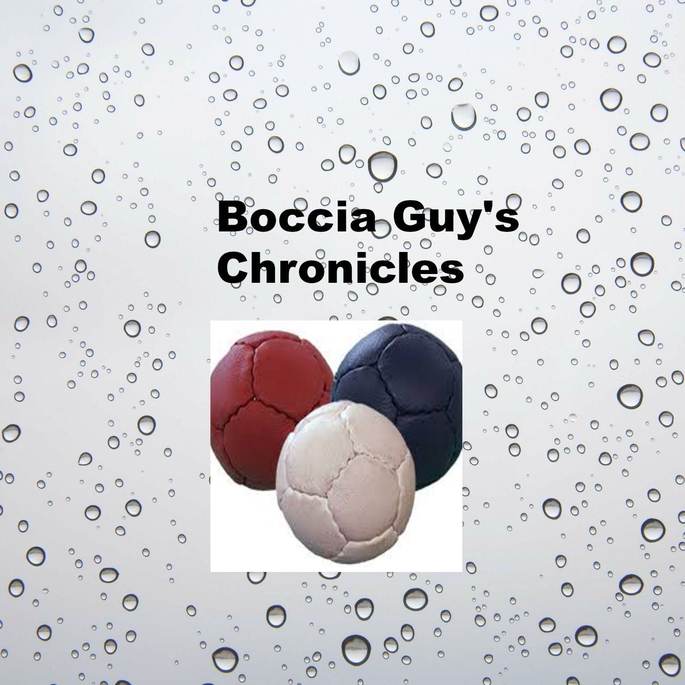 The Boccia Guy Chronicles