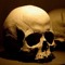 Skull37