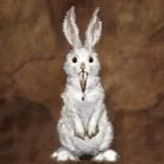 首切りラビット S Stream