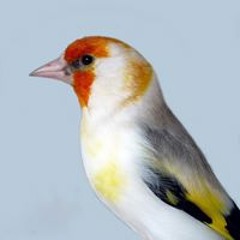 Jose Luis Delgado Muñoz