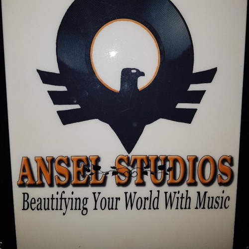 Ansel Studios’s avatar