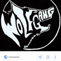 Wolf Gang Shen