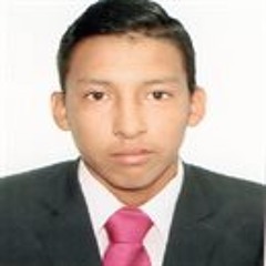 LUIS PABLO SILVA HORNA