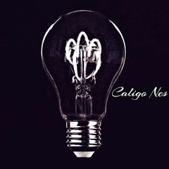 Caligo_Nes