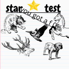 STAR TEST