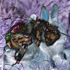 Sir Cozington(AKA yung utensil AKA lil spork)