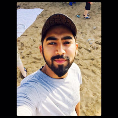 Muhammad Faizan Ahmed