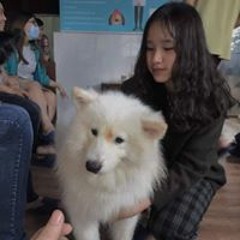 My Tu Tran Ngoc