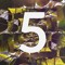 subfifth recordings