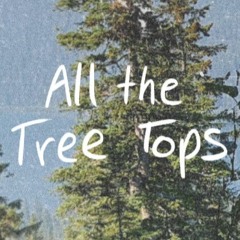 all the tree tops